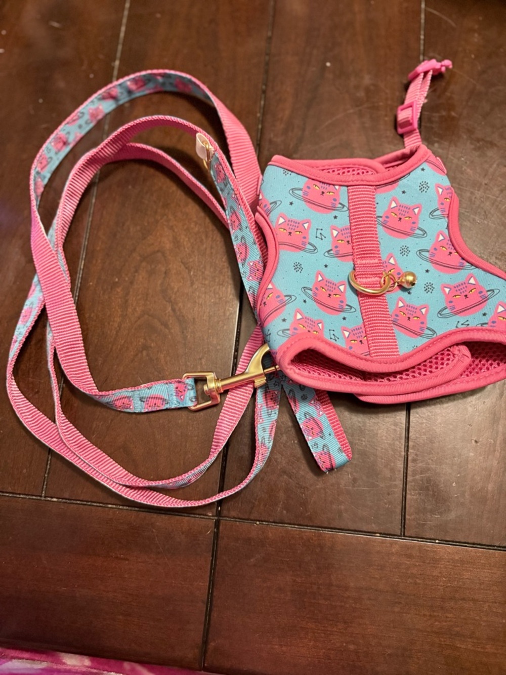 Whisker City cat/dog harness cat centric size-kitten with 6 ft leash